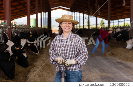 Elderly woman cow breeder standing in outdoor cowshed Elderly woman cow breeder standing in outdoor cowshed 136980062