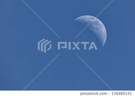 A six-month moon that is thicker than a crescent moon and thinner than a half moon 136980141