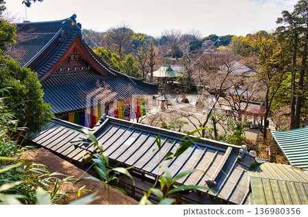 金代寺的理由 136980356