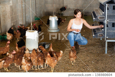 Portrait of woman farmer holding fresh eggs in hands in henhouse Portrait of woman farmer holding fresh eggs in hands in henhouse 136980604