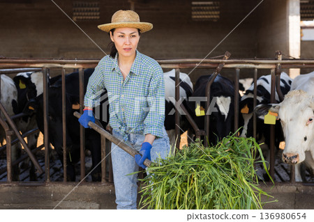 Young asian female farmer feeding cows with green grass 136980654