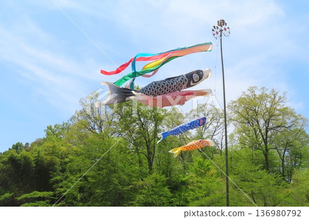 Carp streamer Carp streamer 136980792