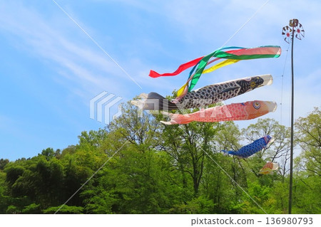 鯉魚旗 鯉魚旗 136980793