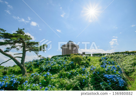 位於稻川町的略顯崎嶇的大野山 位於稻川町的略顯崎嶇的大野山 136980882