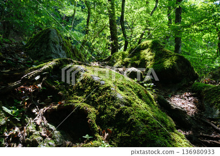 稻川町小野山之旅,略顯崎嶇 稻川町小野山之旅,略顯崎嶇 136980933