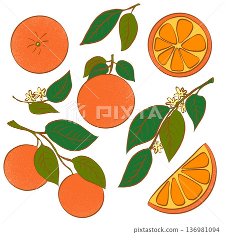 Set of orange on a white background. Set of orange on a white background. 136981094