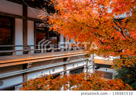 Elegant Hojo Garden at Historic Nanzen ji Temple Kyoto Nov 26 2025 Elegant Hojo Garden at Historic Nanzen ji Temple Kyoto Nov 26 2025 136981510