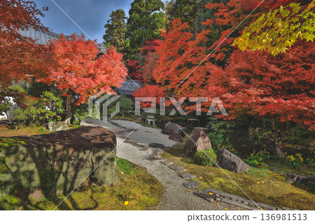 Autumn Colors Surround Zen Garden at Kyoto Hojo Garden Nov 26 2025 Autumn Colors Surround Zen Garden at Kyoto Hojo Garden Nov 26 2025 136981513