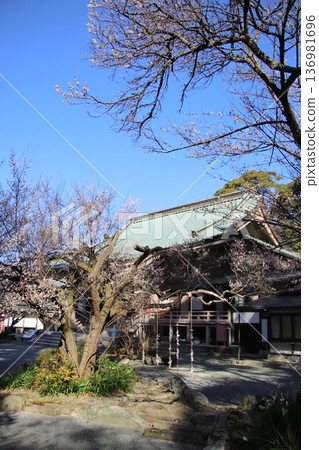 Goma Hall at Chinkokuji Temple in Munakata City, Fukuoka Prefecture Goma Hall at Chinkokuji Temple in Munakata City, Fukuoka Prefecture 136981696