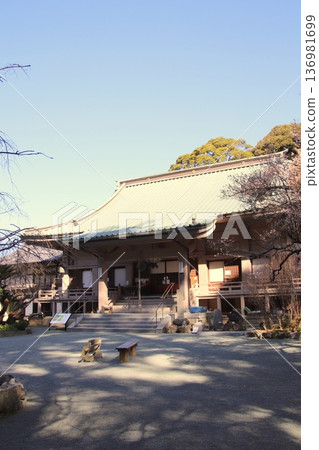 Goma Hall at Chinkokuji Temple in Munakata City, Fukuoka Prefecture Goma Hall at Chinkokuji Temple in Munakata City, Fukuoka Prefecture 136981699