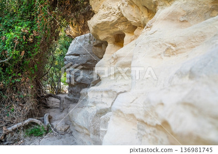 Enchanting Rock Formation along Avakas Gorge Trail in Cyprus. Natural Landmark Scenery 136981745