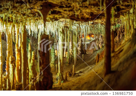 Exploring the Majestic Caves of Mallorica A Journey Through Subterranean Wonders in Palma, Spain 136981750