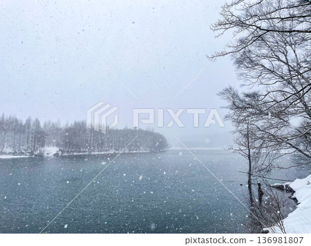 Snowing Pond Snowing Pond 136981807
