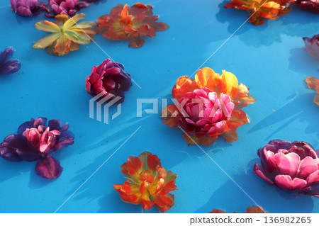 Background material of colorful flowers floating on blue water Background material of colorful flowers floating on blue water 136982265