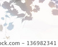 Colorful plant shadow, copy space, cover image 136982341