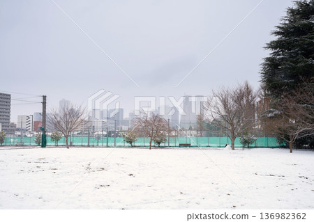 東京下雪了——從中野區眺望新宿摩天大樓——2026年2月 136982362