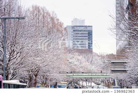Snowfall in Tokyo, Shinjuku High-Rise District, February 2026 136982363