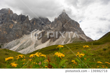 Panoramic view from Baita Segantini, Rolle Pass, Trento, Italy 136982718