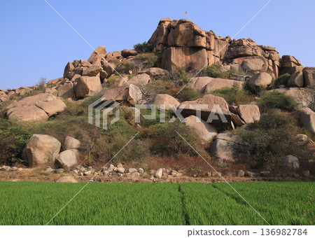Rice fields and granite hill in Basapur, India. Rice fields and granite hill in Basapur, India. 136982784