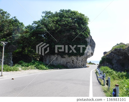 繞行道路 136983101