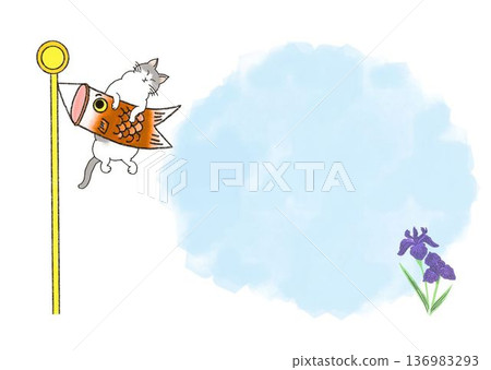 Carp streamer and cat 136983293