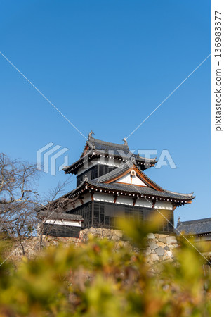 晴朗的日子裡，透過樹籬可以看到大手向櫓。 136983377