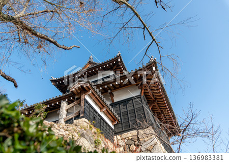 晴朗的日子裡，透過樹籬仰望大手向櫓塔。 136983381