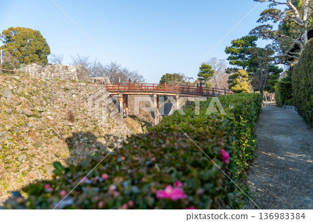 透過樹籬可以看到大和郡山城的極樂橋和白澤門遺址 透過樹籬可以看到大和郡山城的極樂橋和白澤門遺址 136983384