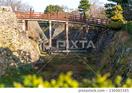 透過樹籬可以看到大和郡山城的極樂橋 透過樹籬可以看到大和郡山城的極樂橋 136983385