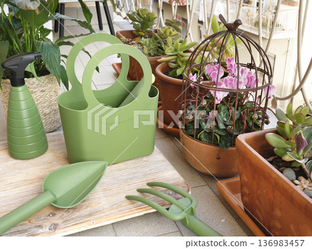 Potted flowers on balcony. Gardening tools. Nature and plant care. Interior design. Potted flowers on balcony. Gardening tools. Nature and plant care. Interior design. 136983457