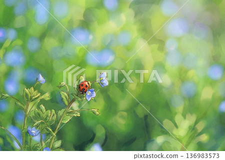 早春——瓢蟲棲息在柿子上——動畫 136983573