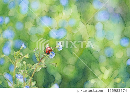 早春——瓢蟲停在柿子上——插圖 136983574