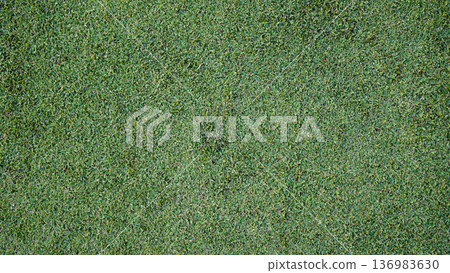 Green grass background, top view background of garden bright grass concept used for making green backdrop, lawn for sports field. Green grass background, top view background of garden bright grass concept used for making green backdrop, lawn for sports field. 136983630