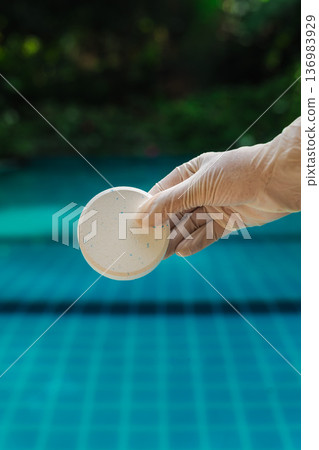 Gloved hand holding chlorine tablet above clear blue swimming pool water, outdoor pool maintenance concept with tropical background 136983929
