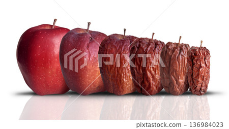 Process Of Aging 136984023