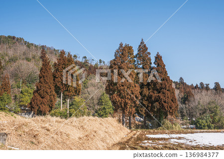 Snow-covered rice terraces at the back of Lake Biwa, Nagahara, Nagahama City, Shiga Prefecture Snow-covered rice terraces at the back of Lake Biwa, Nagahara, Nagahama City, Shiga Prefecture 136984377