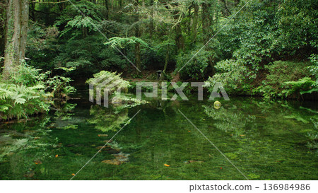 Ikeyama Springs, Kumamoto Prefecture Ikeyama Springs, Kumamoto Prefecture 136984986