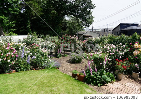 塞亞開放花園 塞亞開放花園 136985098
