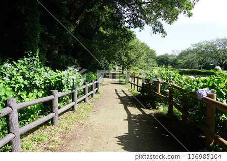 東山森林 136985104