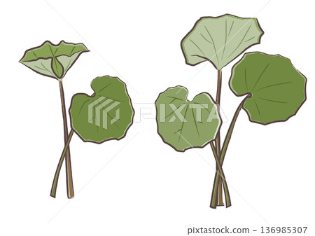 一組描繪多種春季野生植物的筆觸插圖，《津和吹》 136985307