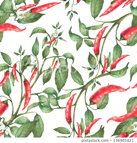 Chili pepper plant stem with flowers red end green pepper pods and leaves seamless pattern. Hand drawn watercolor illustration. Hot spicy garden vegetables for fabric design. Isolated from background Chili pepper plant stem with flowers red end green pepper pods and leaves seamless pattern. Hand drawn watercolor illustration. Hot spicy garden vegetables for fabric design. Isolated from background 136985821