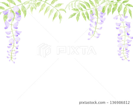 Beautiful wisteria flower frame 136986812