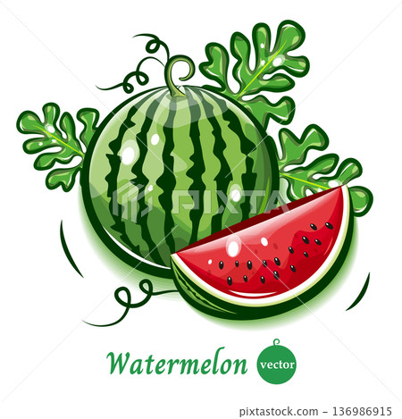Fresh and cute vector illustration of watermelon | Fruit pop art material 136986915