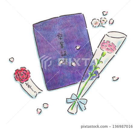 文憑和康乃馨插圖 文憑和康乃馨插圖 136987016