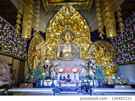 Kamakura City Hasedera Temple Amida Hall Amida Statue Kamakura City Hasedera Temple Amida Hall Amida Statue 136987233