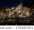 秋葉在燈光下閃閃發光 | 神秘的日式花園 136987261