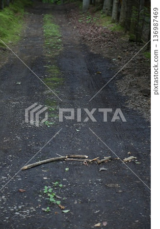 Road and broken branches Road and broken branches 136987469