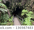 長滿蕨類植物的熔岩洞入口 | 夏威夷火山國家公園 136987483