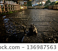 雨夜，一隻青蛙站在鵝卵石街道上 | 日本的後巷 136987563