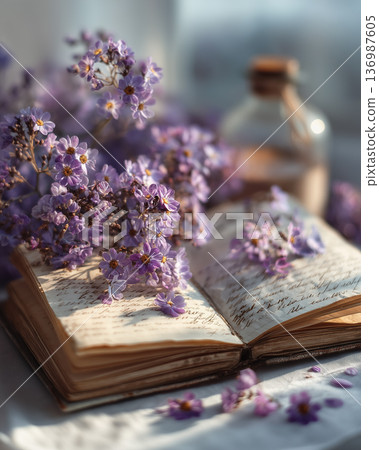 室內照片:一張桌子上擺放著薰衣草和舊書。 室內照片:一張桌子上擺放著薰衣草和舊書。 136987605